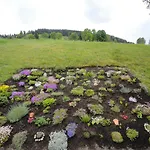 Farm stay Maierlhof