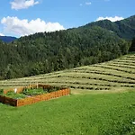 Gospodarstwo agroturystyczne Maierlhof *
