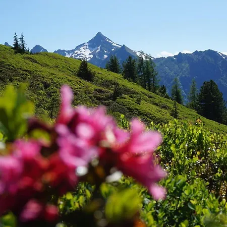 梅尔霍夫酒店 *