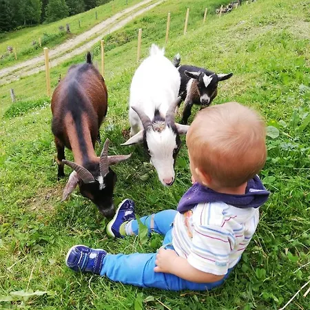 Feriegård Maierlhof *