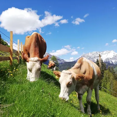 Farm stay Maierlhof Aich (Styria)