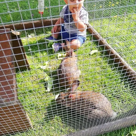 梅尔霍夫酒店 农家乐