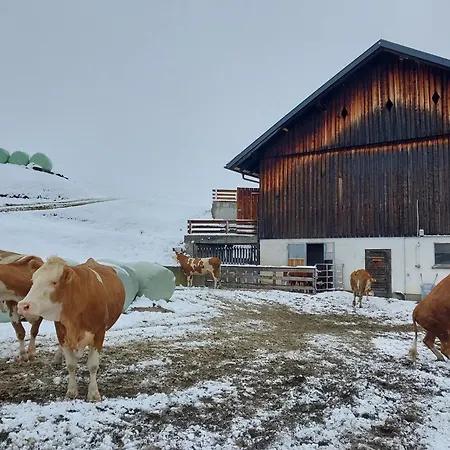 Farm stay Maierlhof