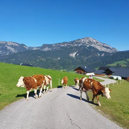 Farm stay Maierlhof
